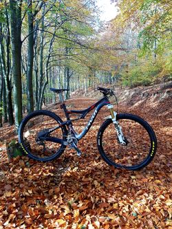 Prodám Pivot Mach 429 Carbon