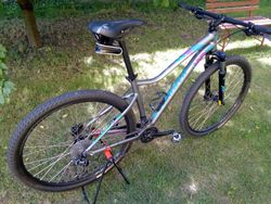 Specialized Jett