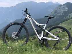 STUMPJUMPER FSR COMP CARBON 29 Gloss wht/blk - M