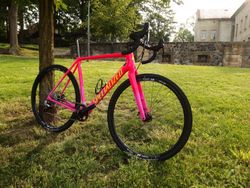 Prodám cyklokrosové kolo SPECIALIZED CruX Elite 2019, vel. 56