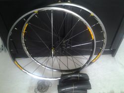 Mavic kola