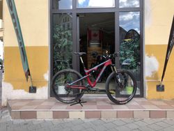 Rocky Mountain Instinct 950 MSL