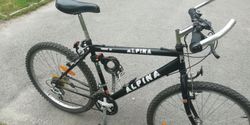 Kolo pánské Alpina