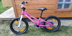 Specilized Hotrock 16"