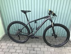 Specialized 29 CRAVE