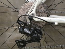 Force Amelia 26”