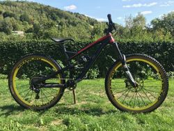 YT CAPRA M 2017