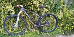 Wilier 501 xn
