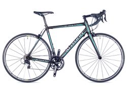Author Aura 55 model 2016