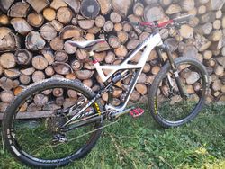 Specialized Enduro Expert 29