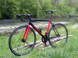 Festka - singlespeed Specialized Langster