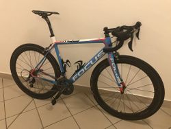 Focus CAYO ULTEGRA