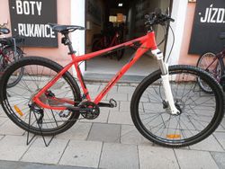 Amulet RIVAL, velikost 19'' - model 2014