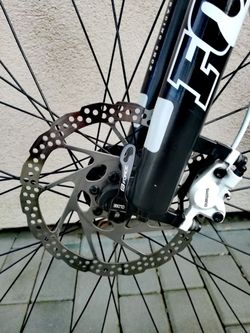 Focus black forest