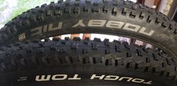 SCHWALBE