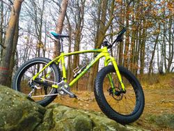 Fatbike Rock Machine Avalanche 30