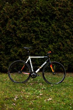 Cinelli Vigorelli 2016
