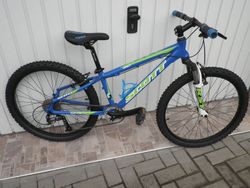 Scott 24