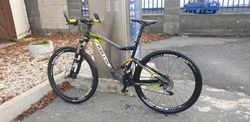 Kellys Reyon 50