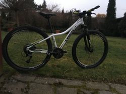 Trek Skye SL 2015, 13,5"