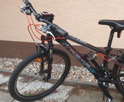 Kolo juniorské