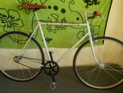 Singlespeed do města i do hospody