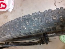 Norco dirtjumper