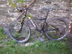 Kellys Reyon 50