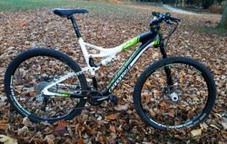 Cannondale F 29