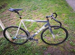 Festka Cinelli Mash