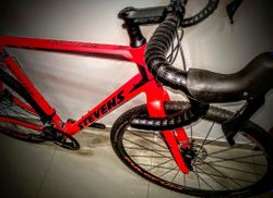 Stevens Prestige 2019