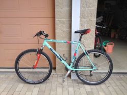 Bianchi Martini Racer