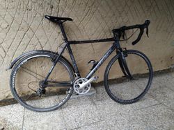 Kroska Spyder