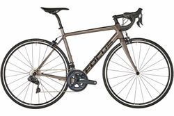 FOCUS IZALCO RACE 9.9 MODEL 2019