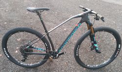 Mondraker Podium RR X01 2019