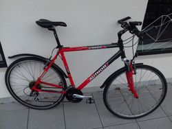 Kolo Author Classic vel. 22"