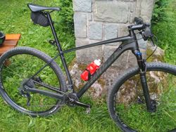 Specialized Stumpjumper Comp Carbon 29 vel. L
