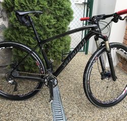 Specialized Stumpjumper expert Carbon 29”
