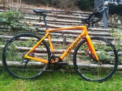 Specialized Roubaix Comp, ULTEGRA, vel. L