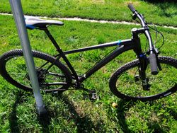 Lapierre ProRace 4,9 2020