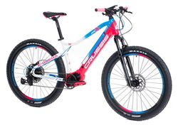 Elektrokolo Crussis E-Guera 9.6-S 2021
