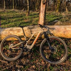 Prodám horské elektrokolo Specialized Levo FSR Comp 29" 2020 taupe/orange