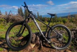 TREK Roscoe 7 2020 - M