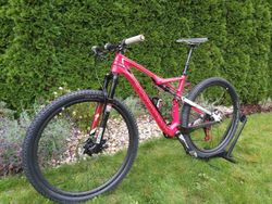 Specialized Epic