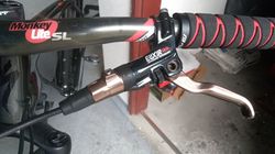 Avid elixir cr sl