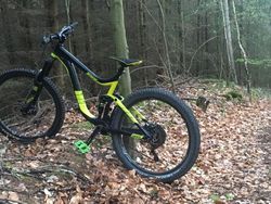 PRODAM GIANT REIGN 2 LTD-M17-L-BLACK GREEN