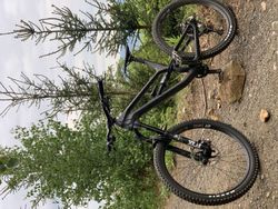 CANYON TORQUE CF 8.0 2020 vel. L