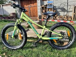 Dětské kolo Specialized Rip rock