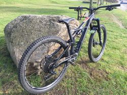 Specialized ENDURO FSR ELITE CARBON 29 M 2019