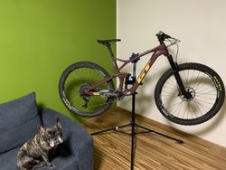 GT Sensor Carbon Expert 2019 vel. L
